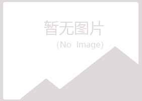 集安紫山水泥有限公司